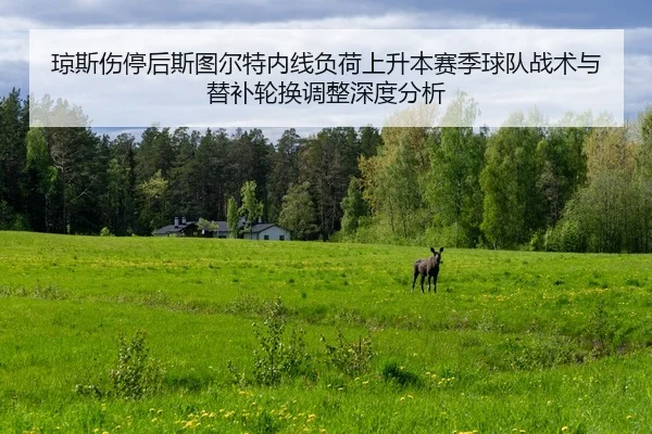 琼斯伤停后斯图尔特内线负荷上升本赛季球队战术与替补轮换调整深度分析